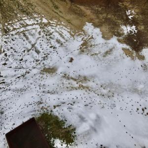 dji_fly_20260205_152618_44_1770323238365