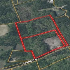 Screenshot_12-2-2026_212731_id.land