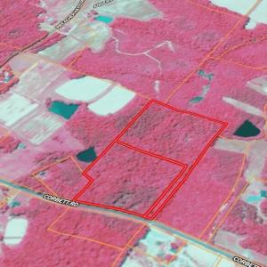 Screenshot_12-2-2026_212926_id.land