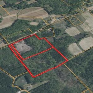 Screenshot_12-2-2026_212752_id.land