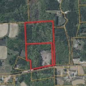 Screenshot_12-2-2026_212719_id.land