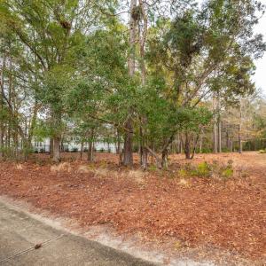 227 RIVERHOUSE RD Ground04