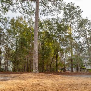 227 RIVERHOUSE RD Ground05