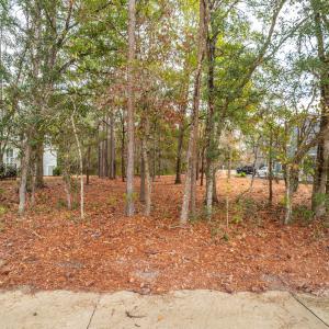 227 RIVERHOUSE RD Ground03