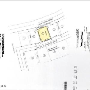 Lot survey