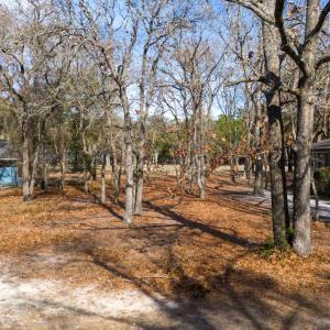 property features minimal tree coverage