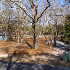 Great canvas for development