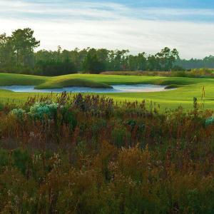 3 GolfCourse