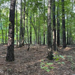 0242AD3A-D22D-4CC5-824D-4A9F80E1CD1C