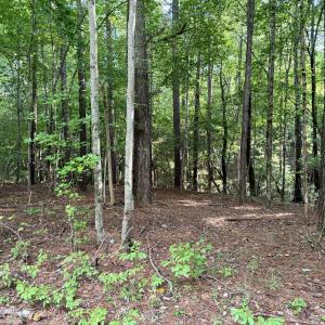 B65F3953-C6A7-486D-9078-21392779CF92