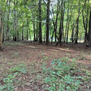 CDB5AC1D-B7DF-49FE-98A6-CEE76714A3B7