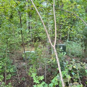 FFFD9938-05BD-446F-A6FE-DAE5DFB57688