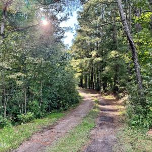 1F01DCA7-2B34-40C3-97A6-77F23A559D70