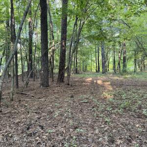 C2D4EC59-041E-4204-B5C7-5279CEFA7EBA