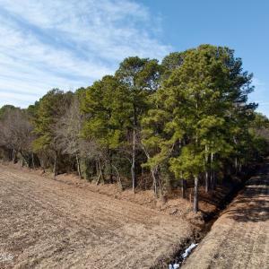 Chowan Smith - 36