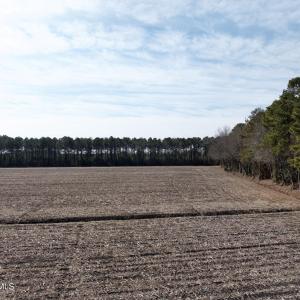 Chowan Smith - 34