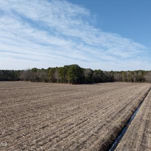 Chowan Smith - 35