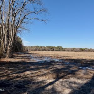 Chowan Smith - 19