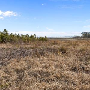 5-web-or-mls-1S3A9917