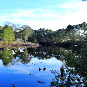 Hewett's Lake