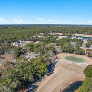 3056PurpleFinchLnSW - 15