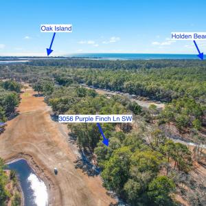 3056PurpleFinchLnSW - 10