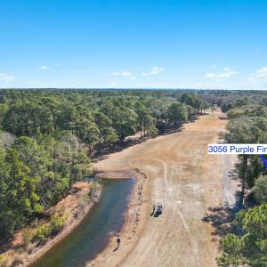 3056PurpleFinchLnSW - 22