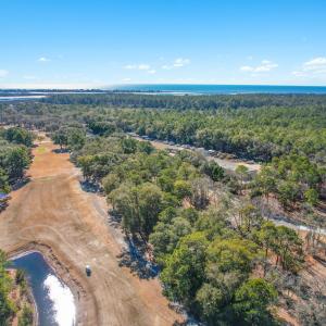 3056PurpleFinchLnSW - 11