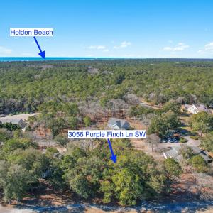 3056PurpleFinchLnSW - 12