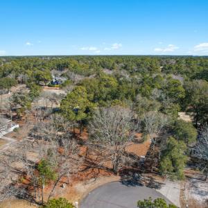 3056PurpleFinchLnSW - 4