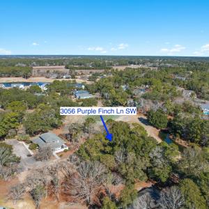 3056PurpleFinchLnSW - 18