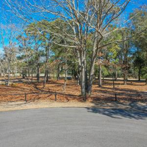 3056PurpleFinchLnSW - 1