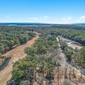 3056PurpleFinchLnSW - 9