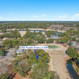 3056PurpleFinchLnSW - 16