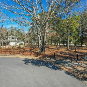 3056PurpleFinchLnSW - 3