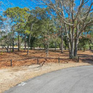 3056PurpleFinchLnSW - 2