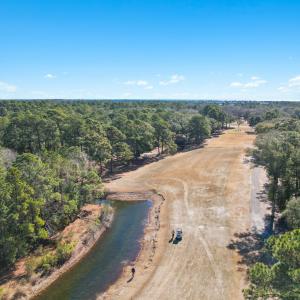 3056PurpleFinchLnSW - 23