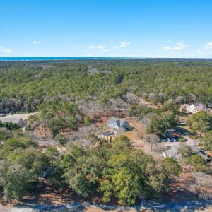 3056PurpleFinchLnSW - 13