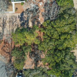 3056PurpleFinchLnSW - 20