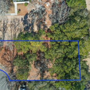 3056PurpleFinchLnSW - 21