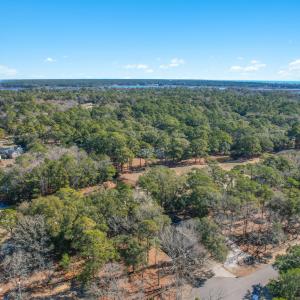 3056PurpleFinchLnSW - 7