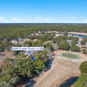 3056PurpleFinchLnSW - 14