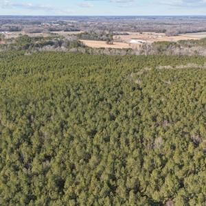 8-web-or-mls-DJI_20260211144342_0267_D