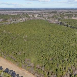 13-web-or-mls-DJI_20260211150357_0272_D