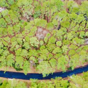 DJI_0872