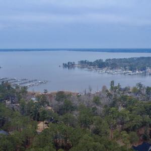 DJI_0873