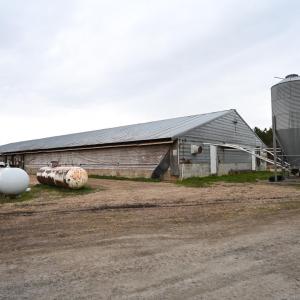 DSC_1441