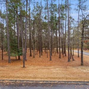 02-DJI_0170-Edit