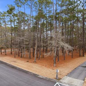 03-DJI_0179