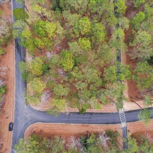 11-DJI_0206